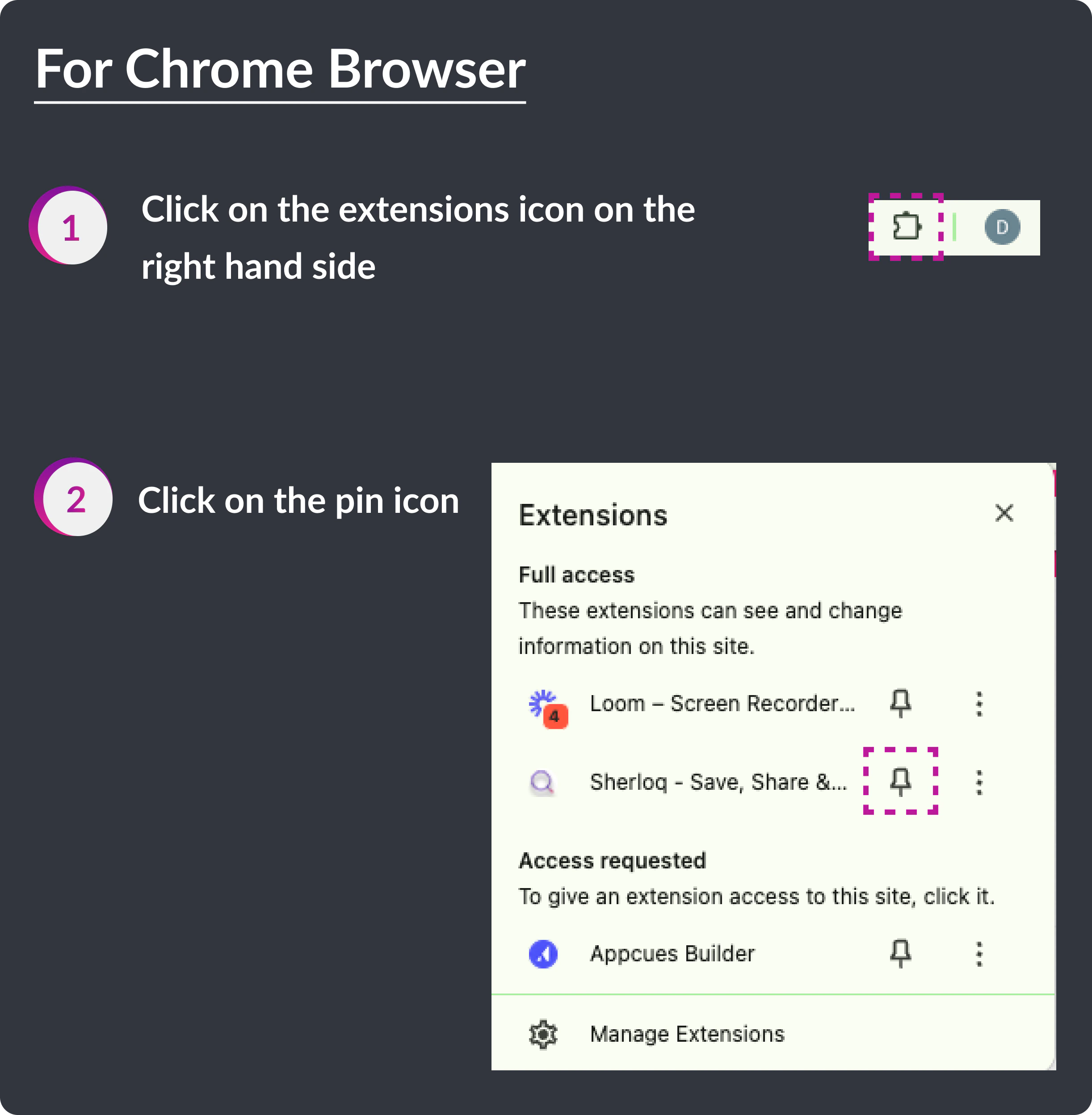 Pin Chrome Extenion