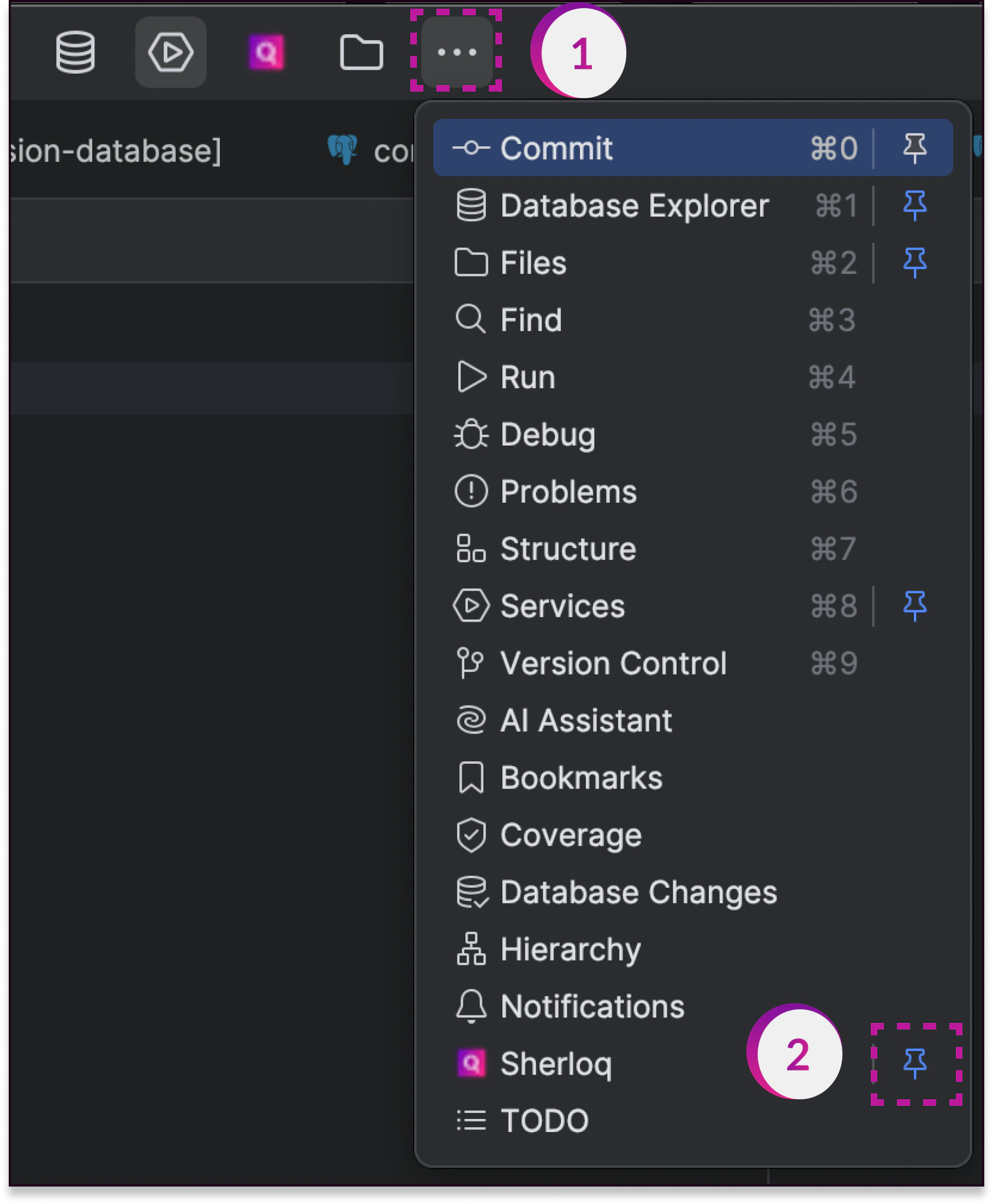 Pin Later Versions of DataGrip