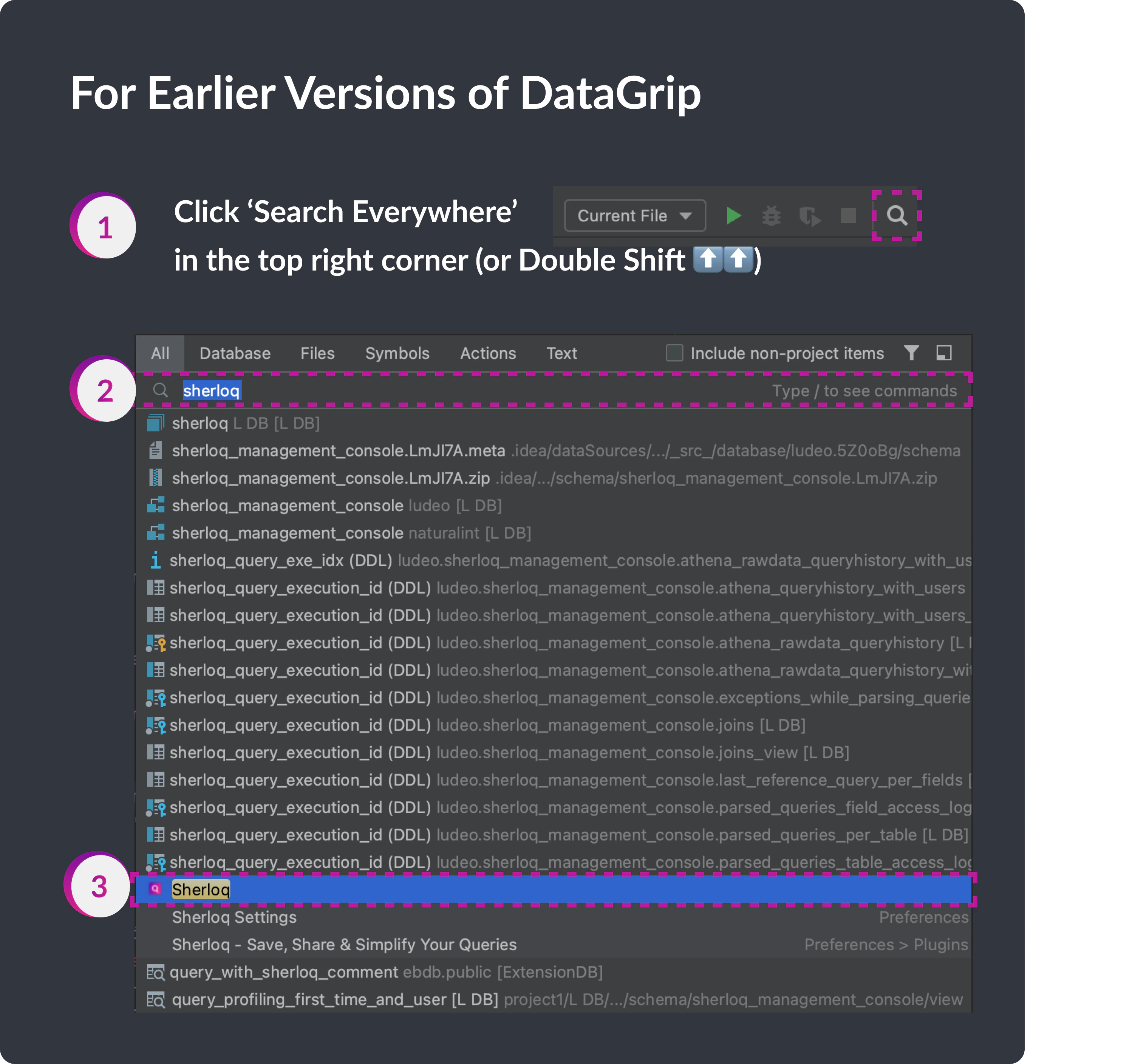 Pin Earlier Versions of DataGrip