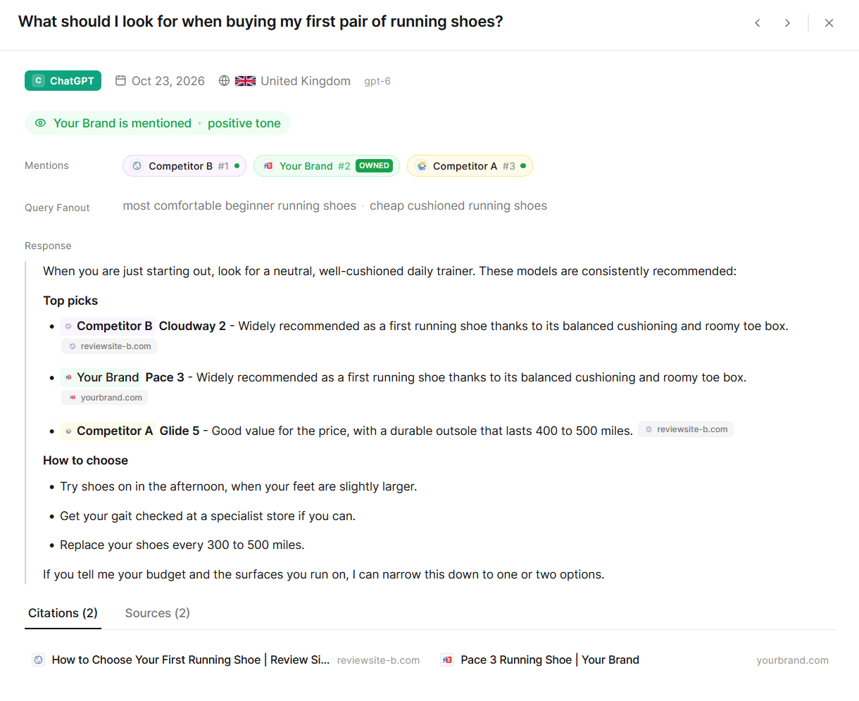 Chat detail dialog showing the answer, brand mentions and the Citations tab