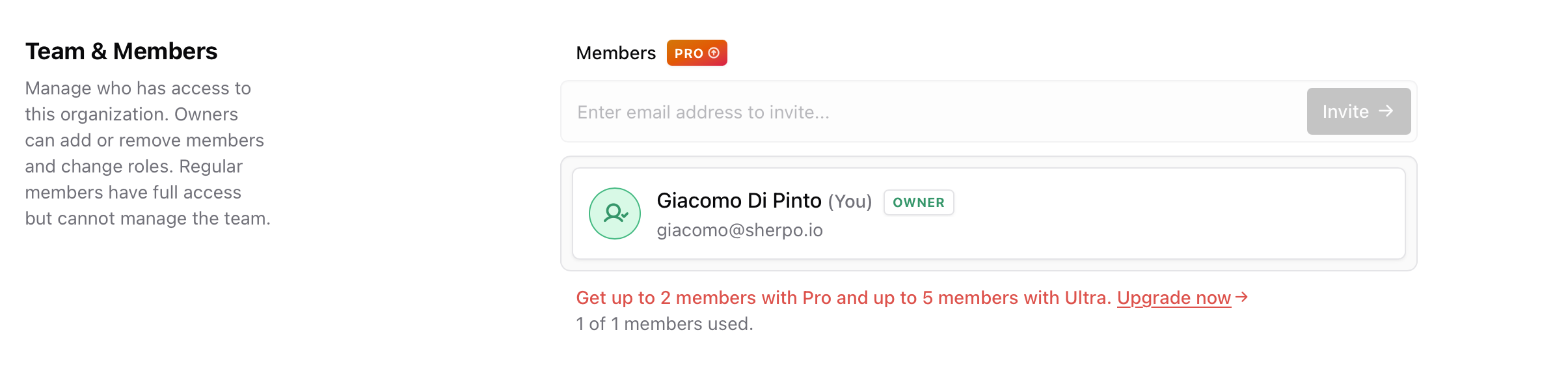 Team and members Team and members page showing invite input and a list of members with roles