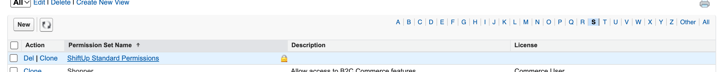 Integration User Standard Permission Set