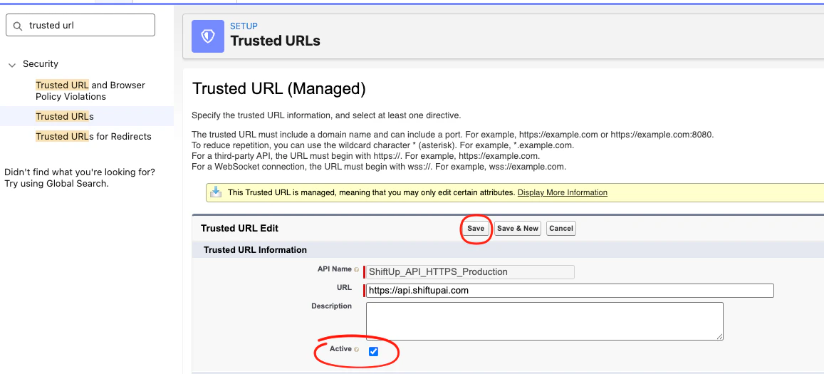 Trusted URL edit form showing the API name, URL, and Active checkbox