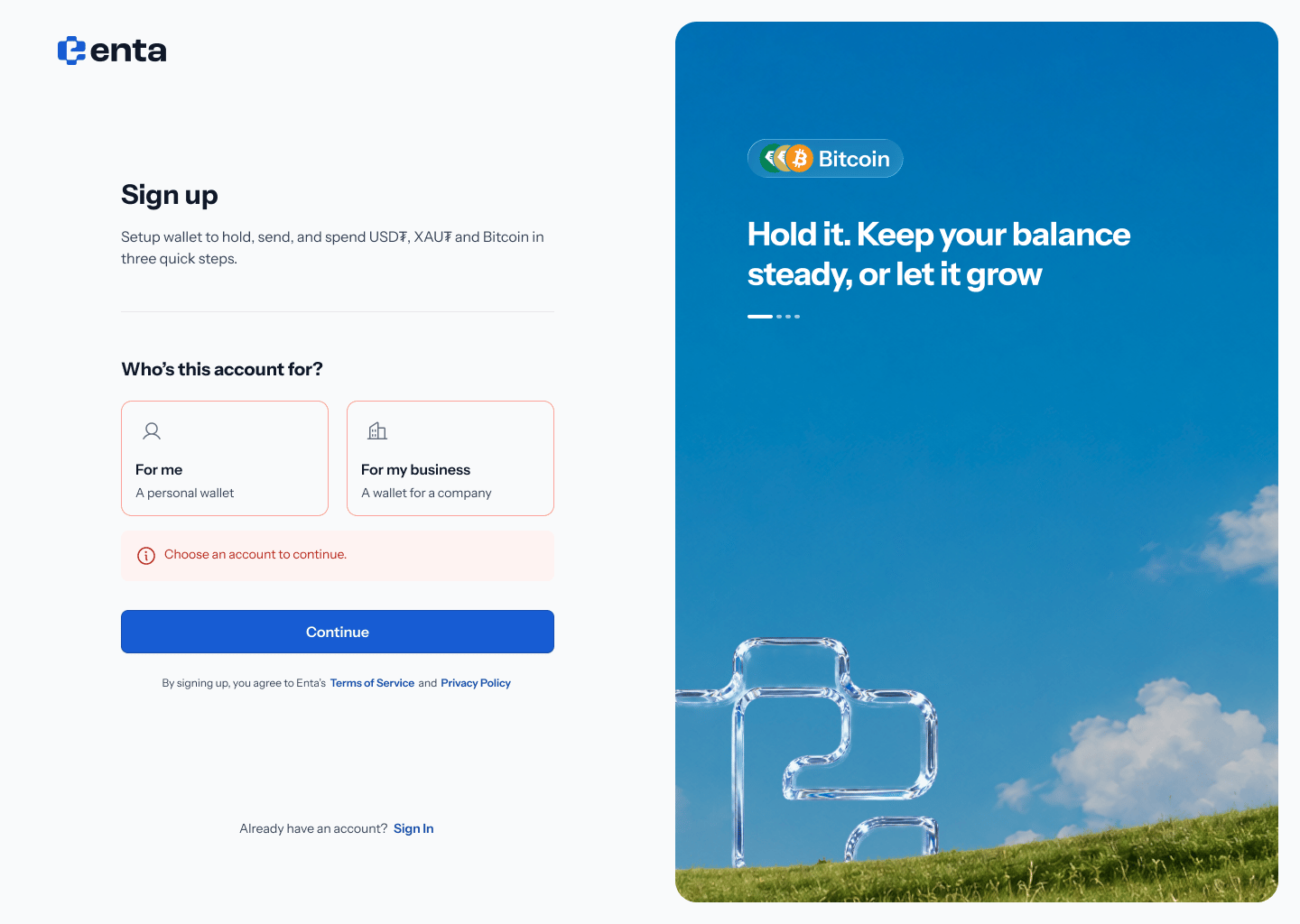 Error on the sign up landing screen