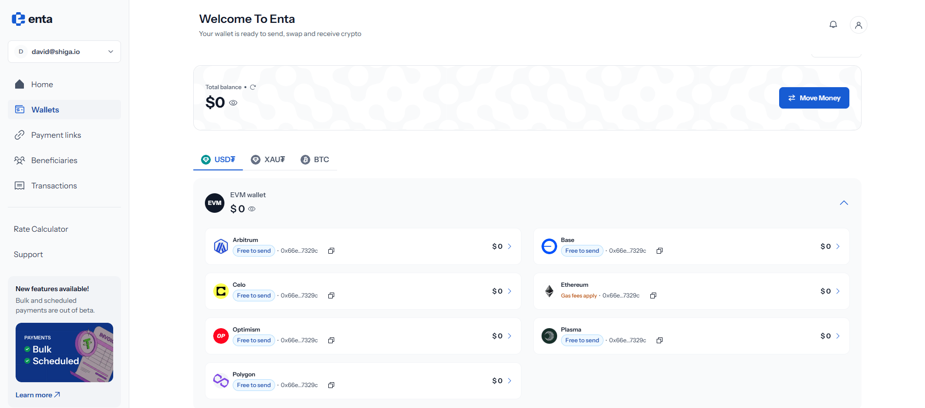 The USD₮ tab, with the EVM wallet row expanded into its networks