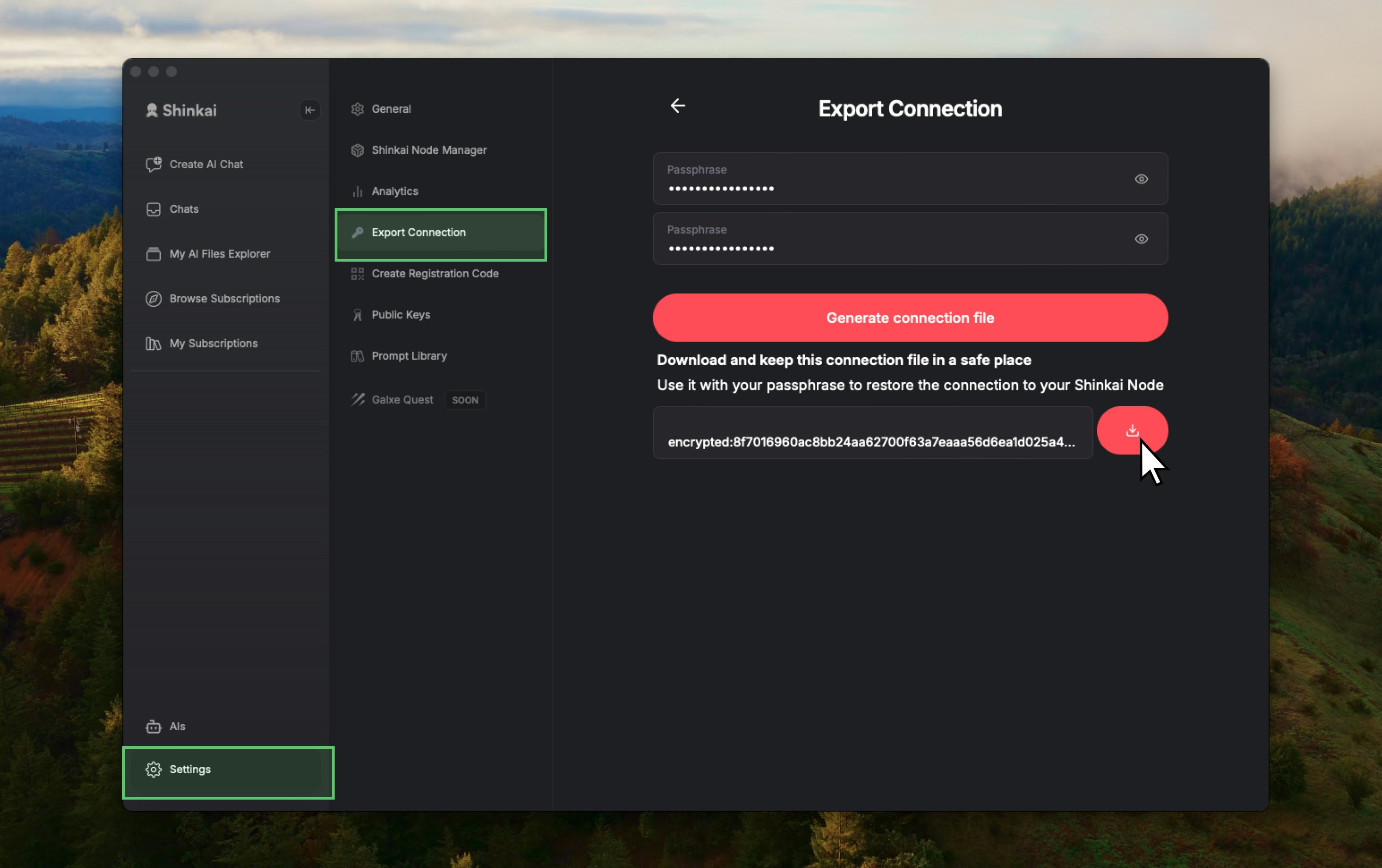 Export Connection