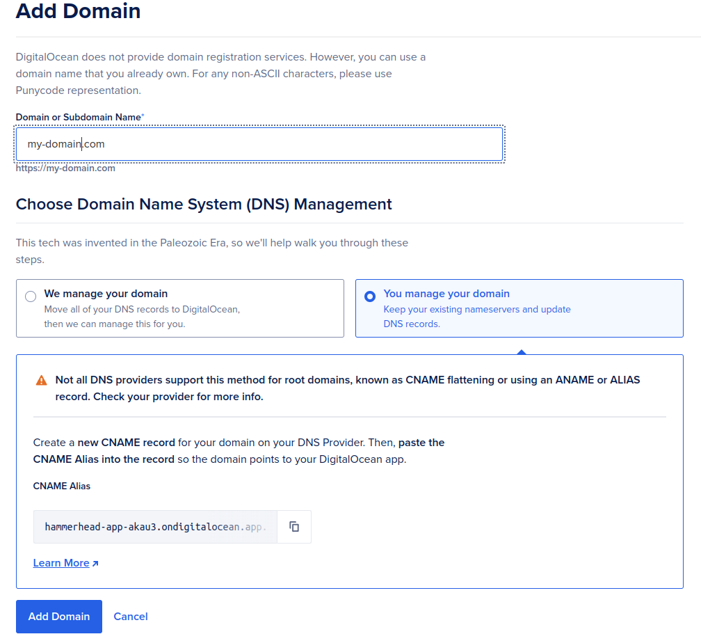 Digital Ocean new domain