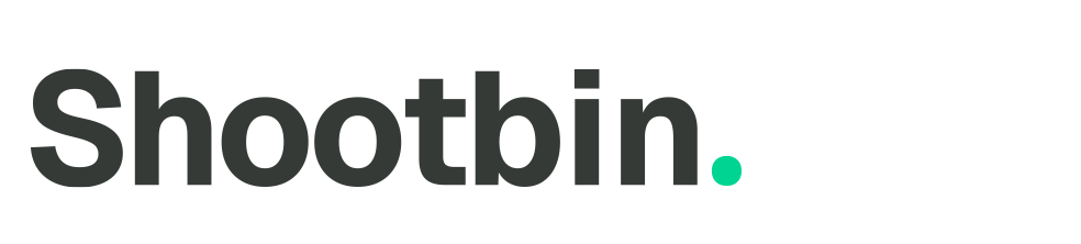 light logo