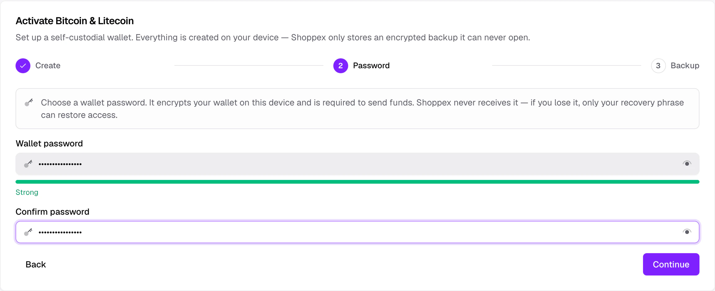 Onboarding step 2: setting the wallet password with a strength meter