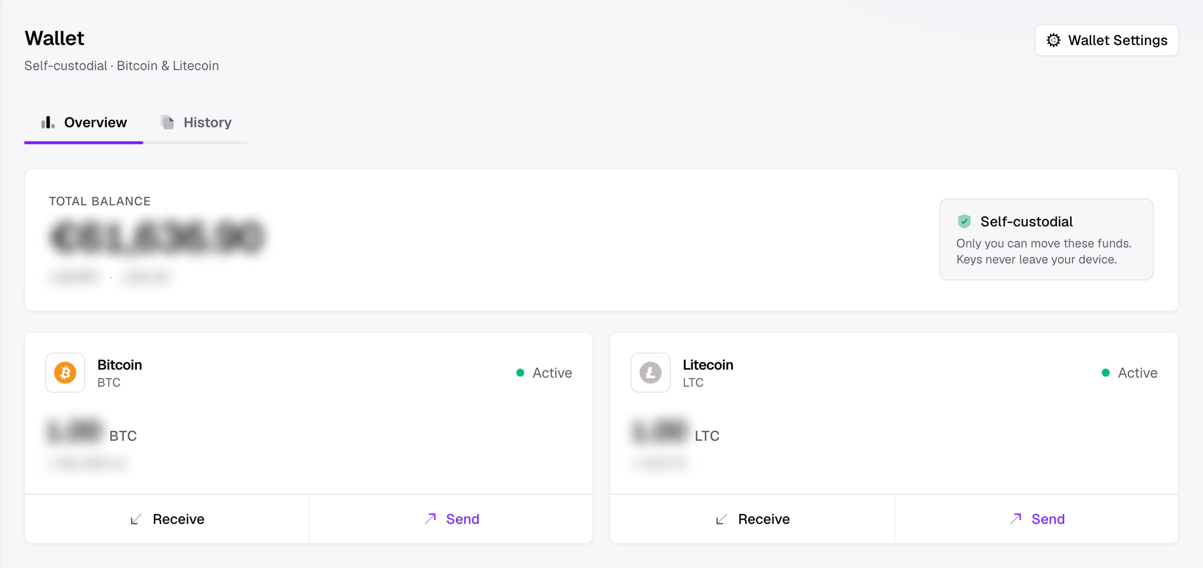 The Wallet overview with the total-balance hero and per-coin balance cards