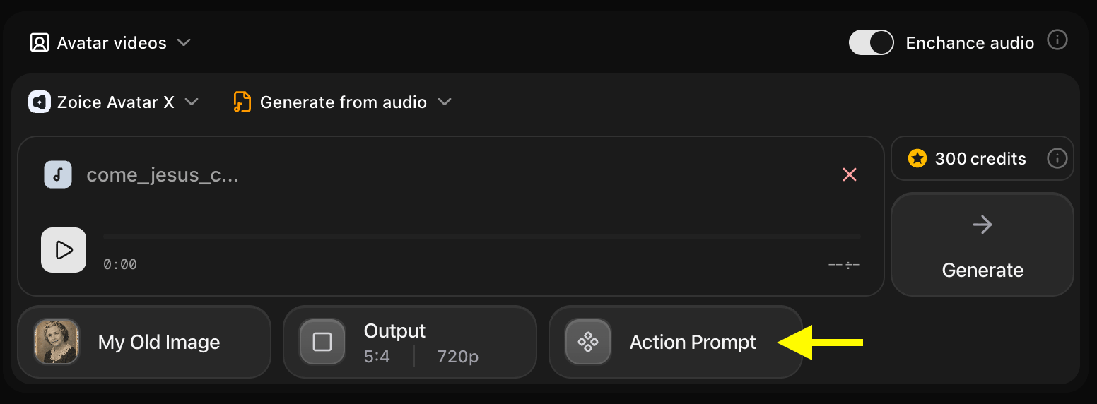 Action Prompt