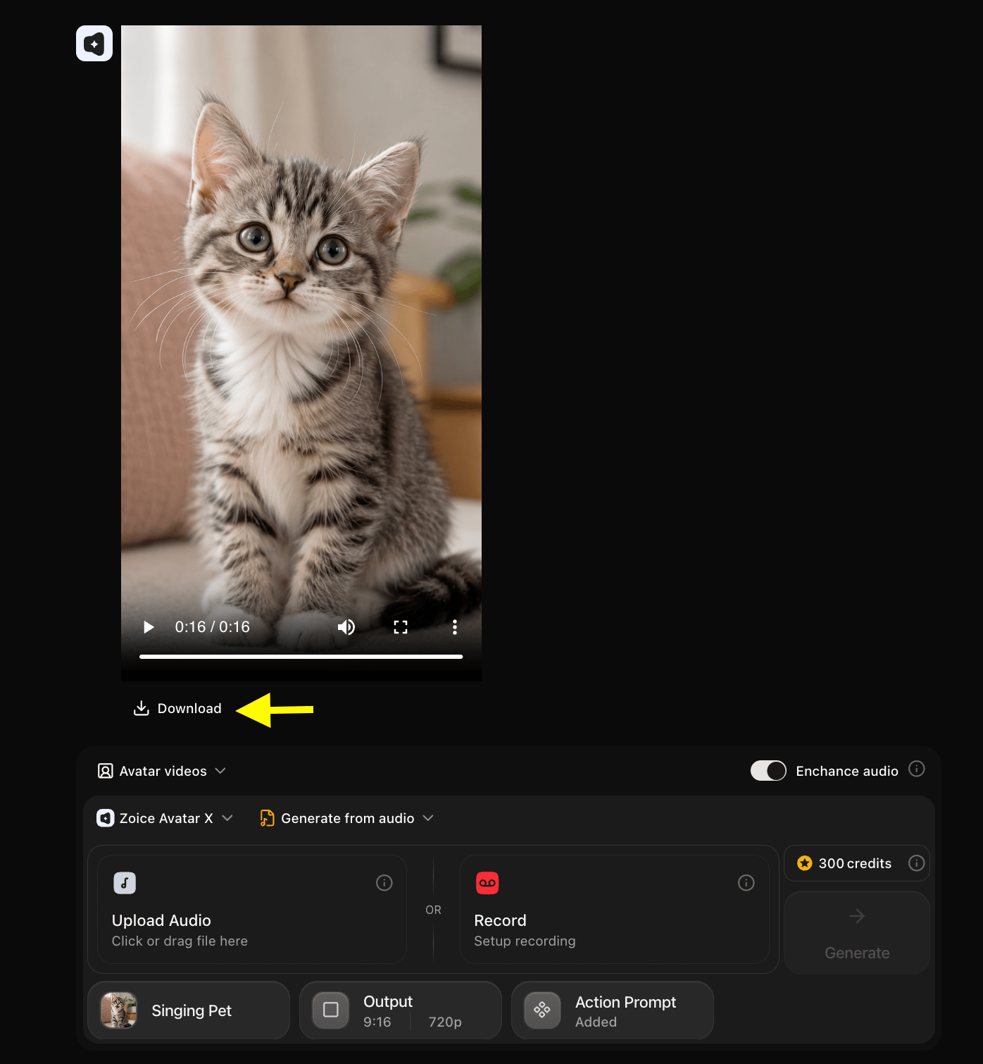 Download Video