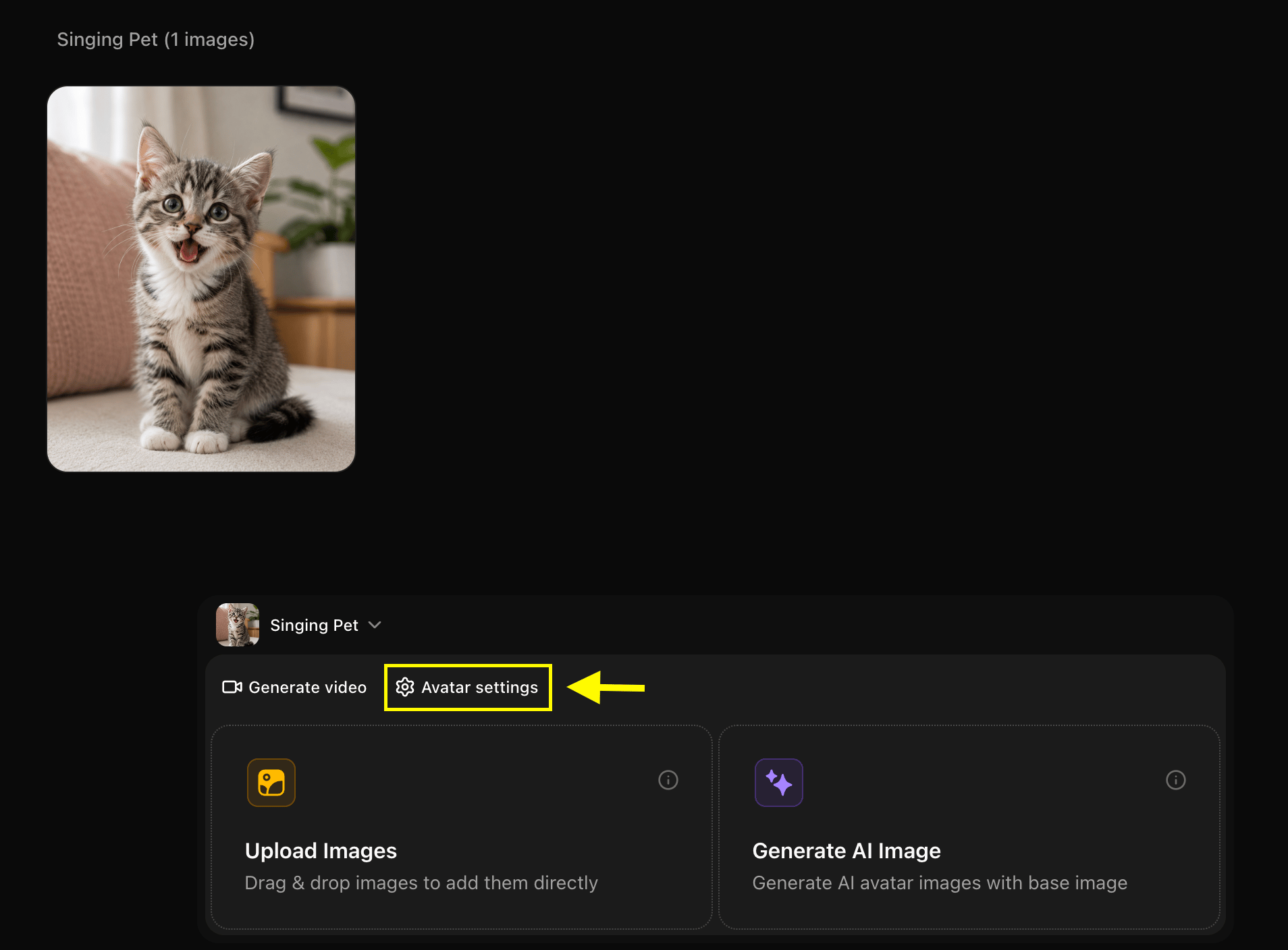 Avatar Settings