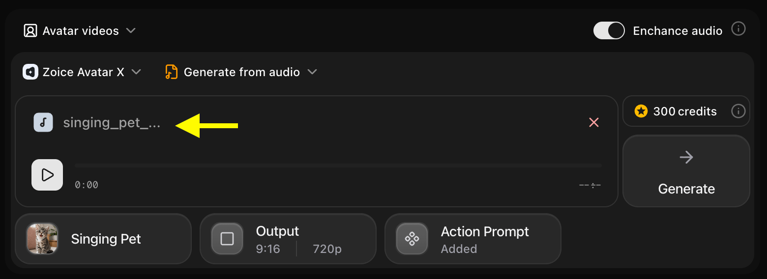 Preview Audio