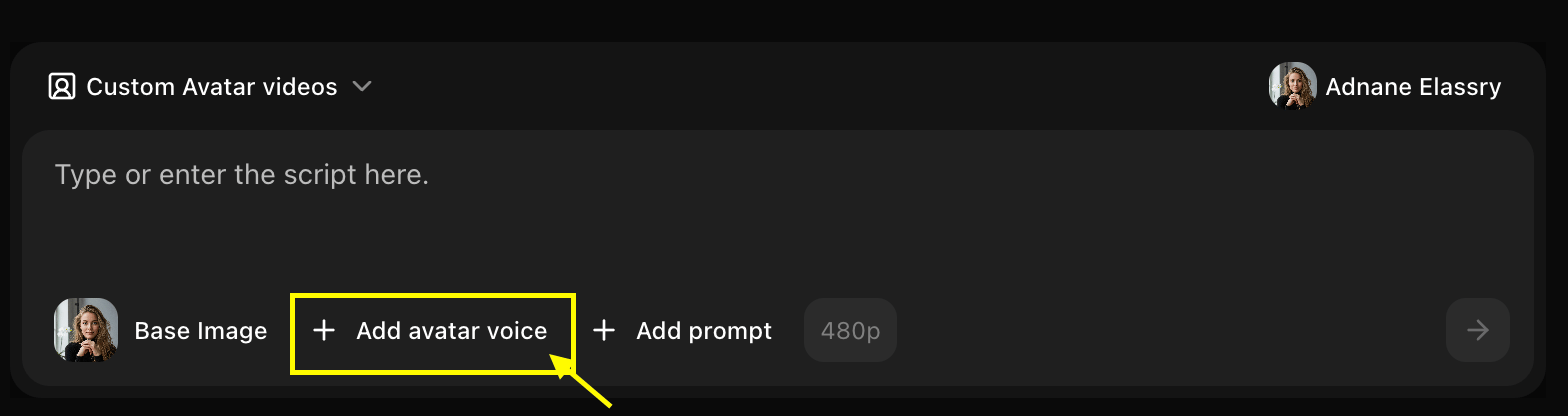 Add Voice