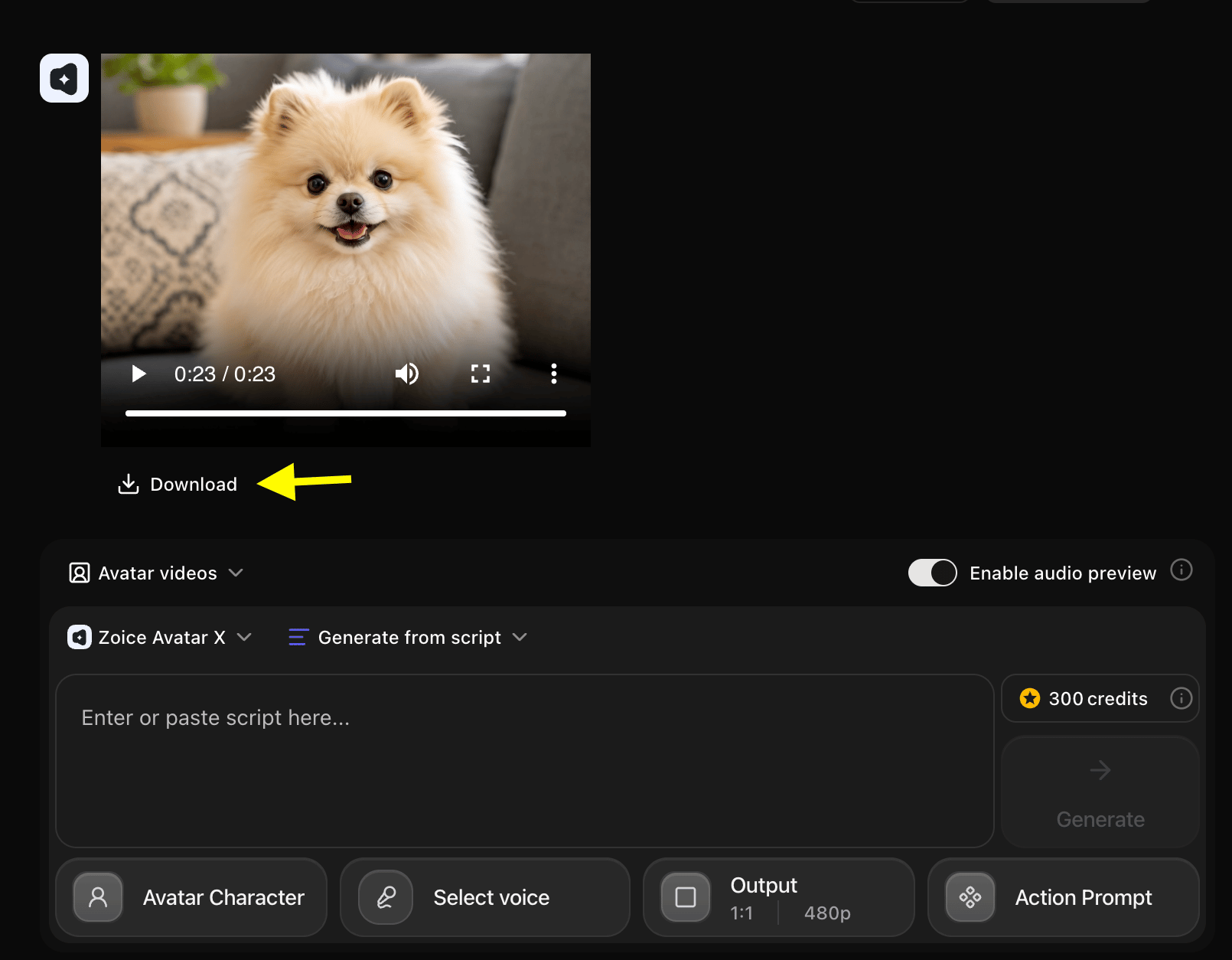 Download Video