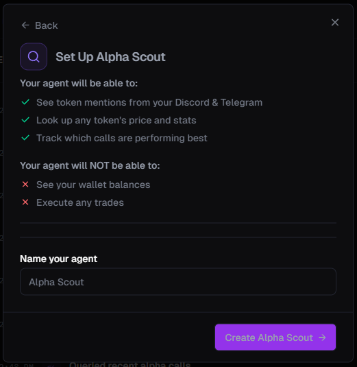 Alpha Scout setup screen with name field