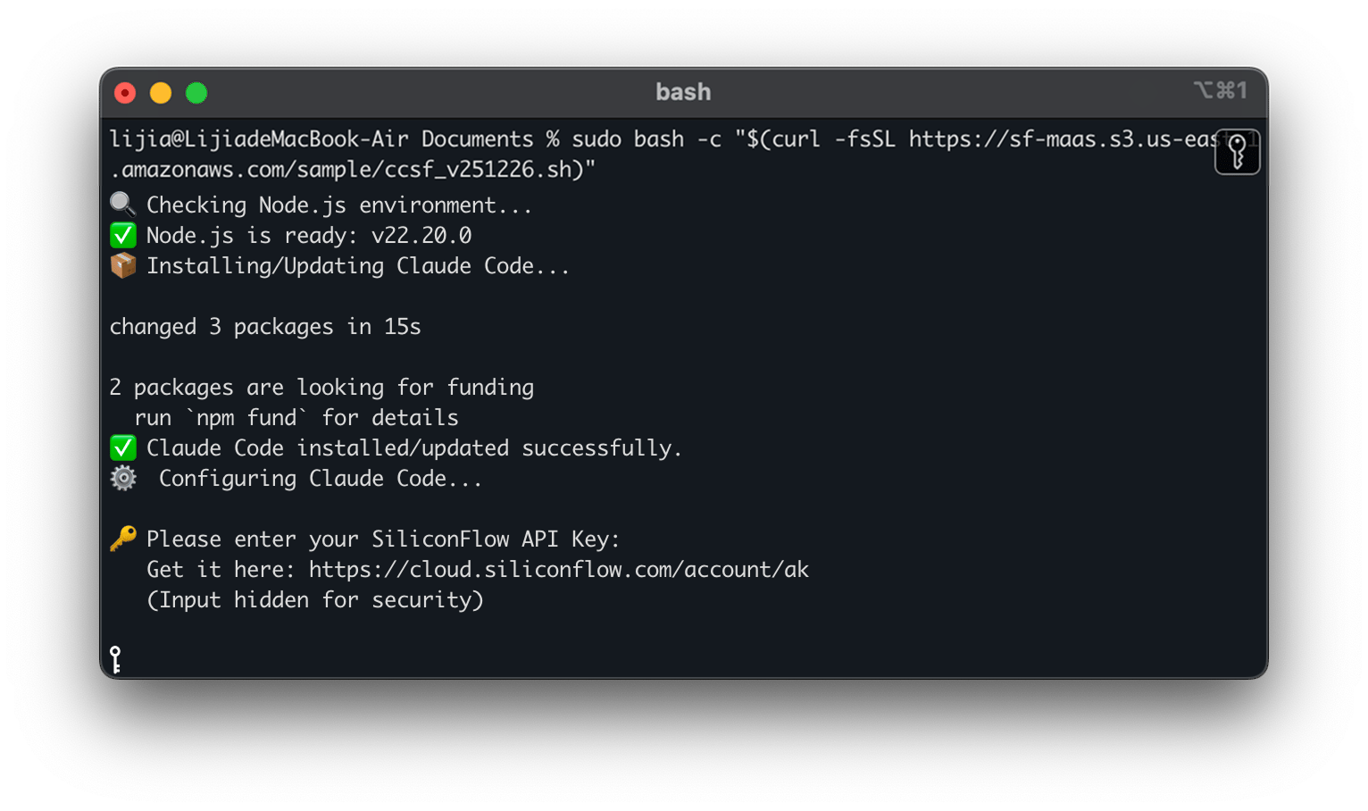 API key input prompt