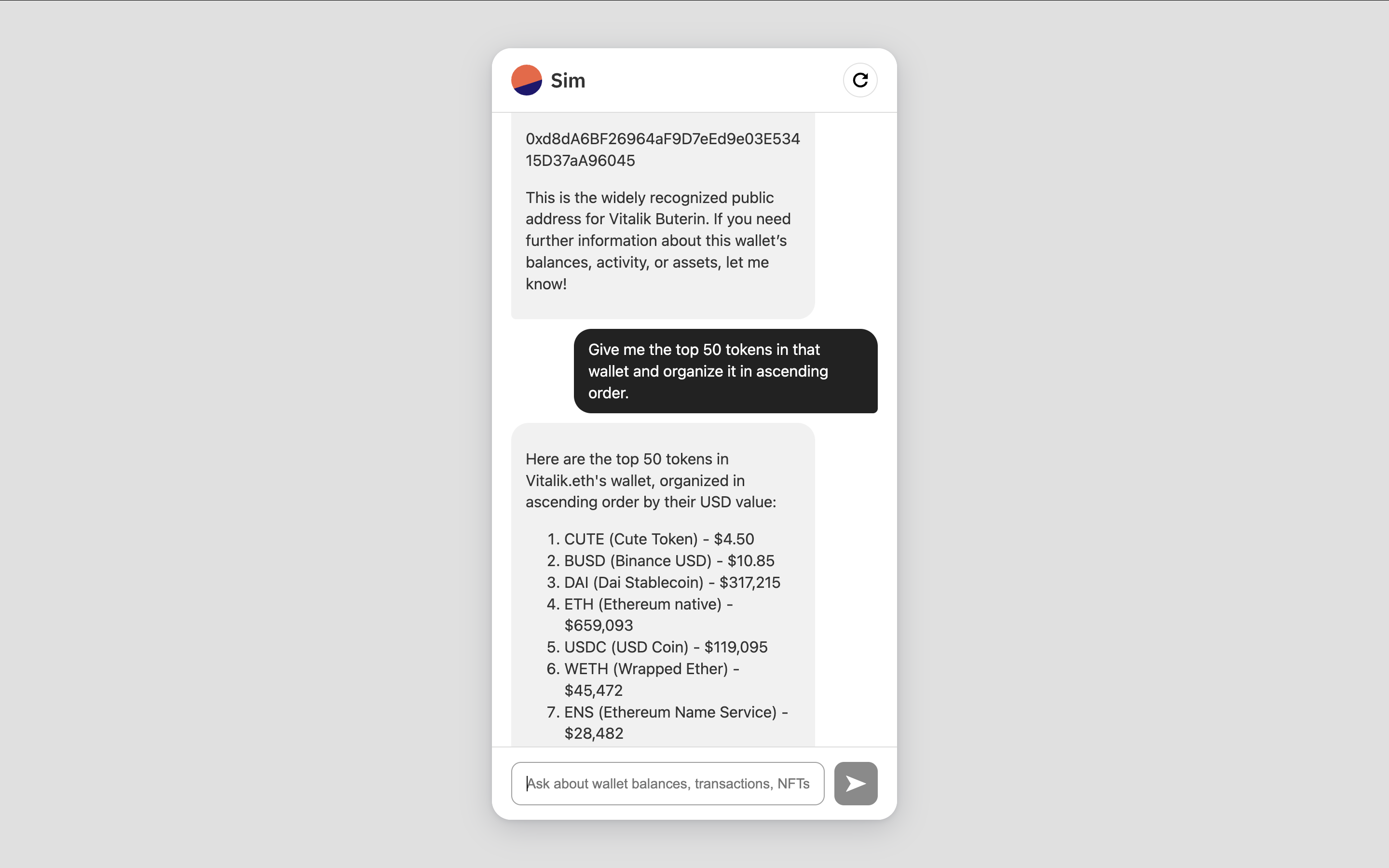 Simchat Demo Interface