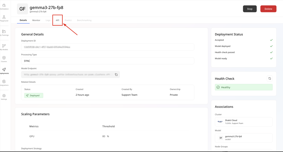 Inference & Monitoring - Documentation