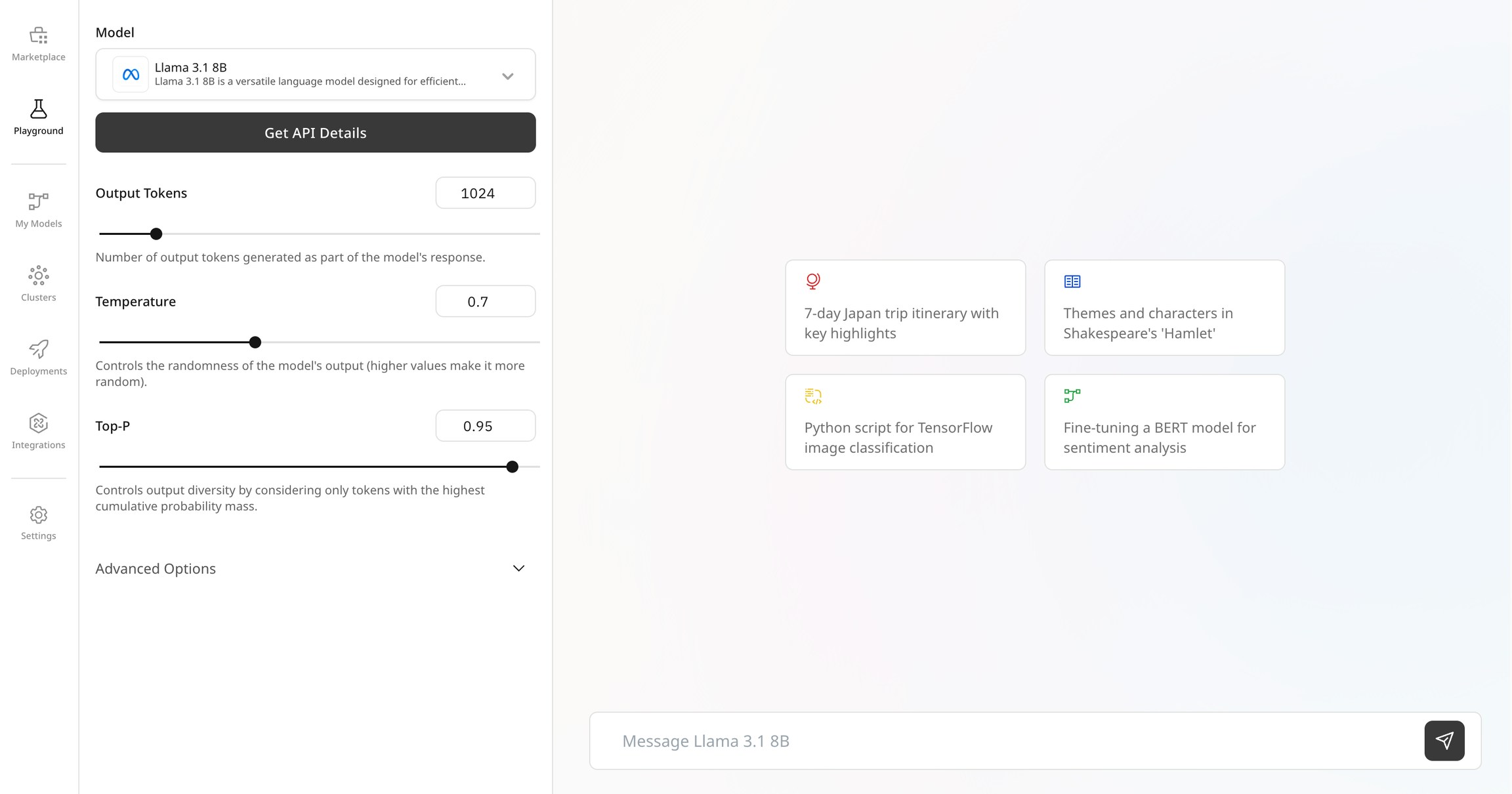 Playground interface with model selection