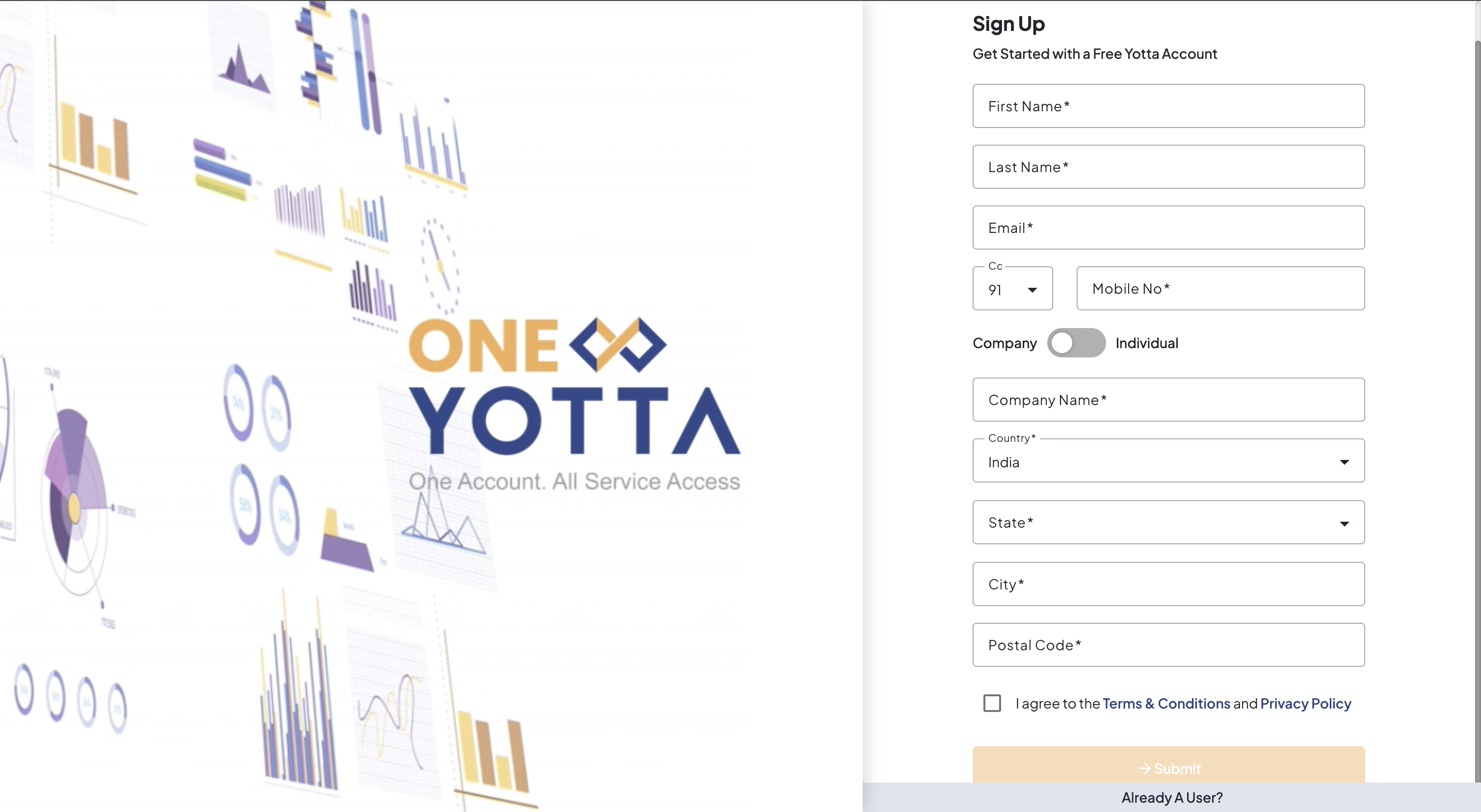 Organization setup screen during signup
