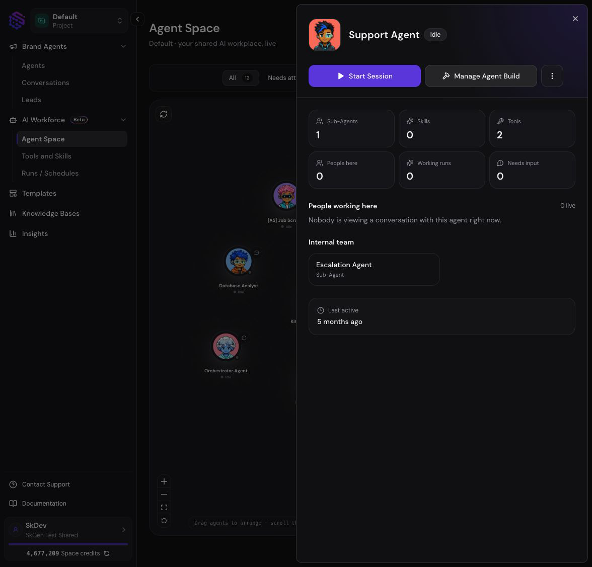 Agent details with session, Agent Build, team, tools, and activity summary