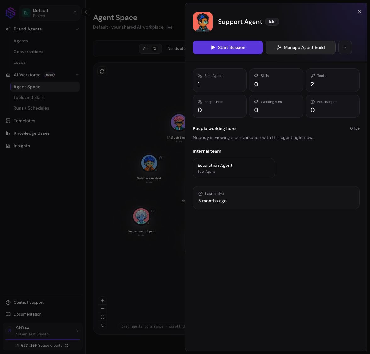 Agent details with session, Agent Build, team, tools, and activity summary