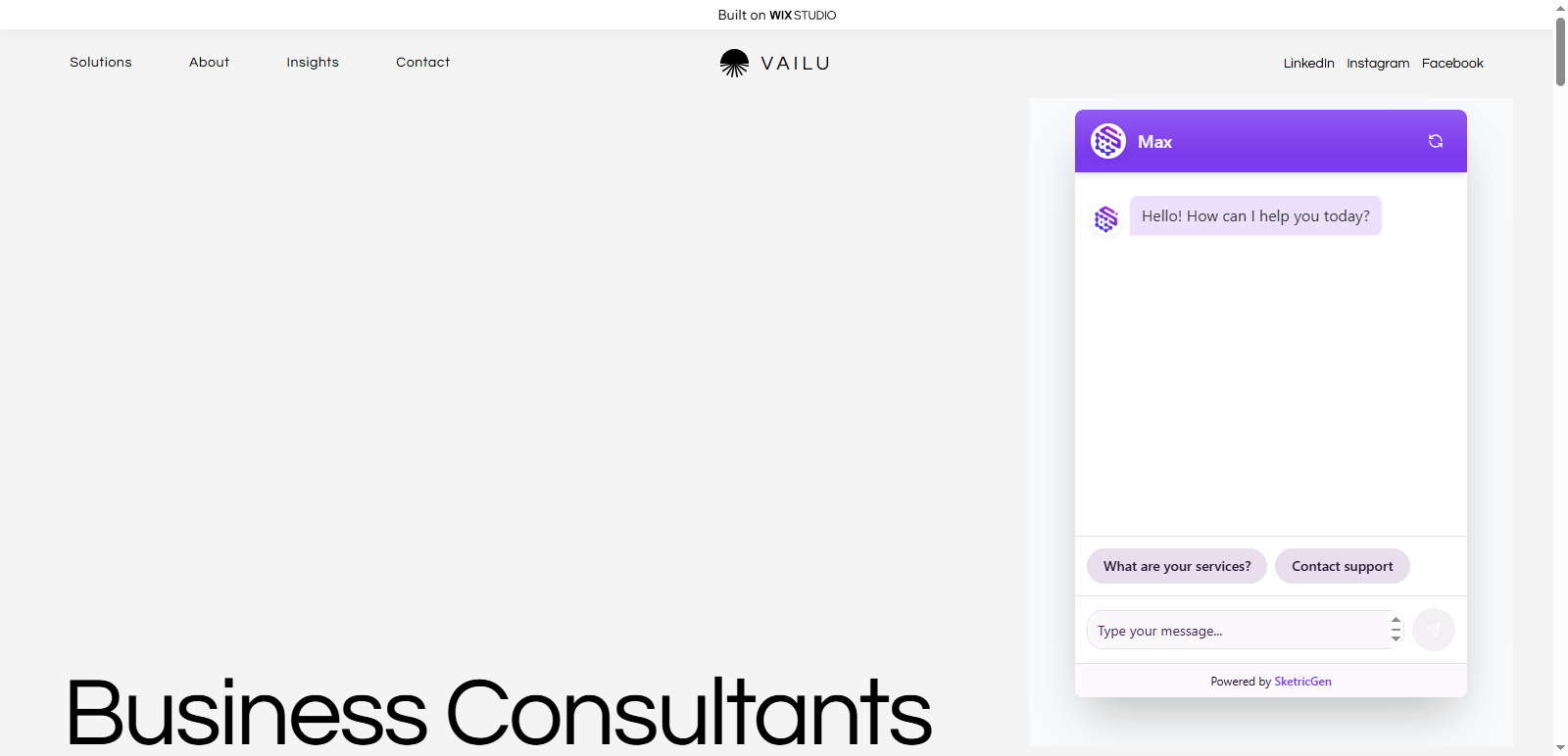 Screenshot showing Wix site with embedded SketricGen iframe widget