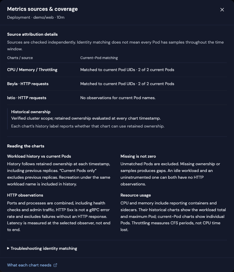 Metrics sources and coverage dialog showing separate resource, Beyla and Istio matching evidence, historical ownership and chart definitions