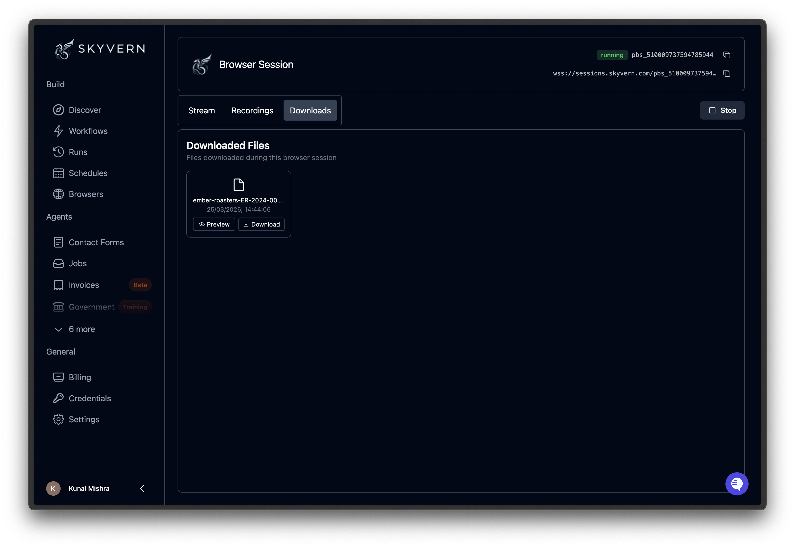 Browser session download page with the preview or download links for anything downloaded during the session