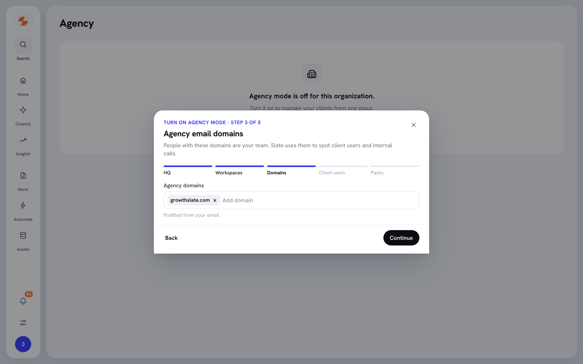 Setup wizard step 3 with the Agency domains field prefilled with the agency's domain