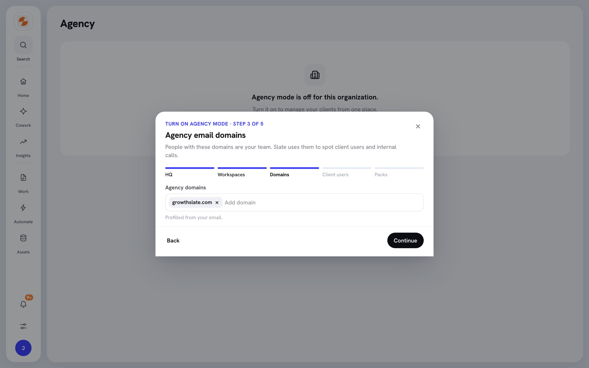 Setup wizard step 3 with the Agency domains field prefilled with the agency's domain