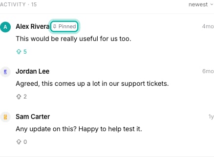 A pinned comment sitting at the top of the thread with a Pinned label next to the author