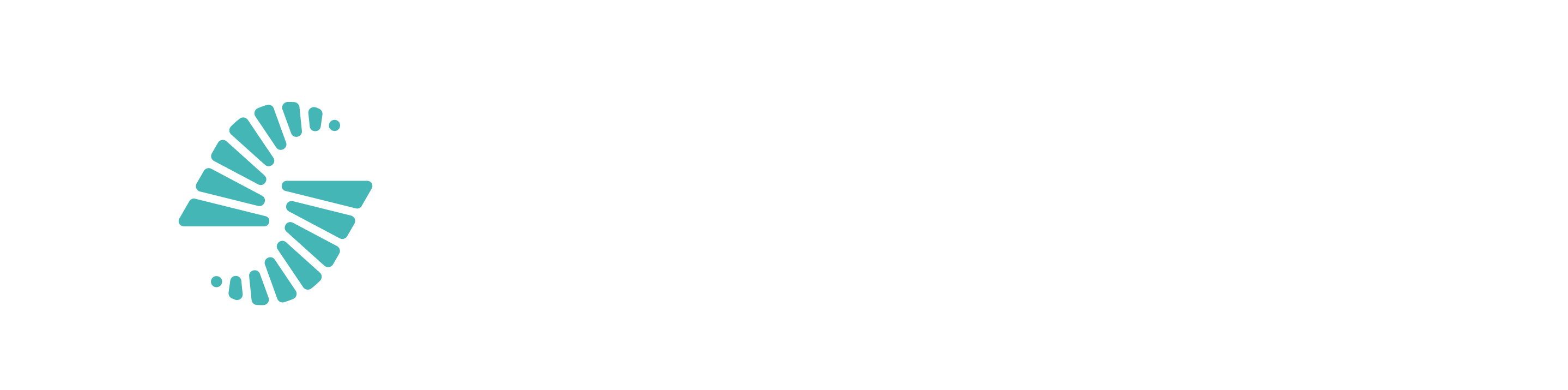 dark logo