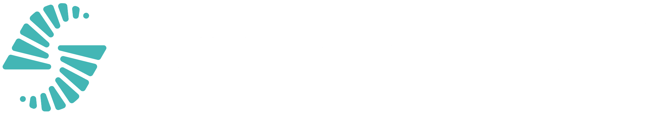 dark logo