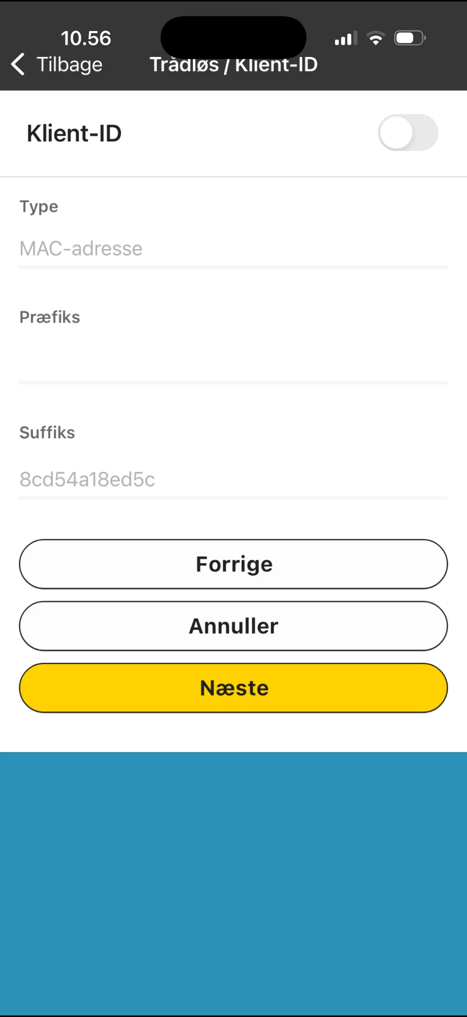 Wireless Client ID screen with Client ID turned off