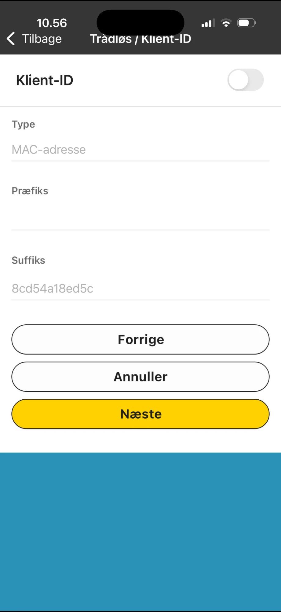 Wireless Client ID screen with Client ID turned off