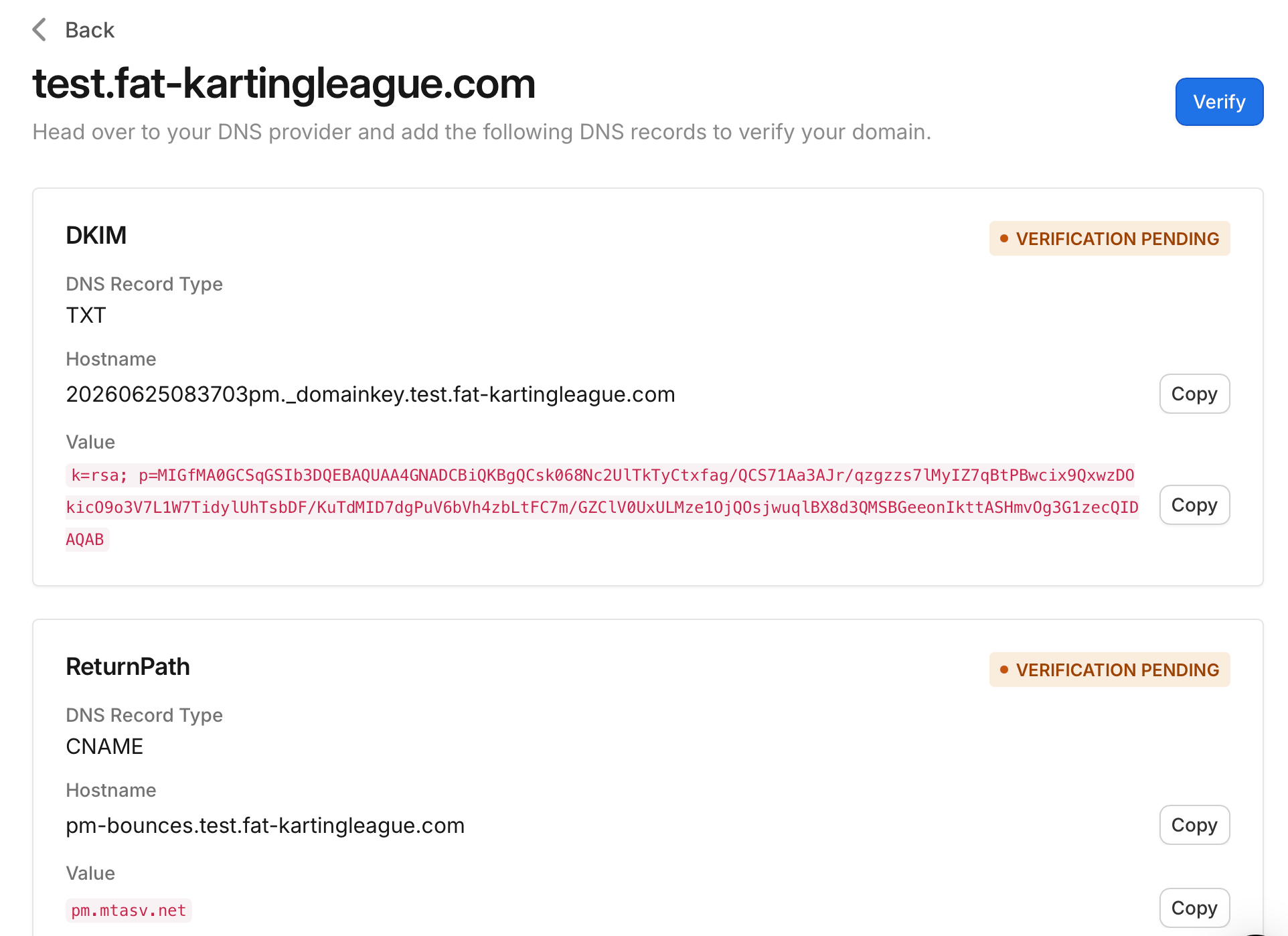 The DKIM and ReturnPath DNS records shown by Vivenu