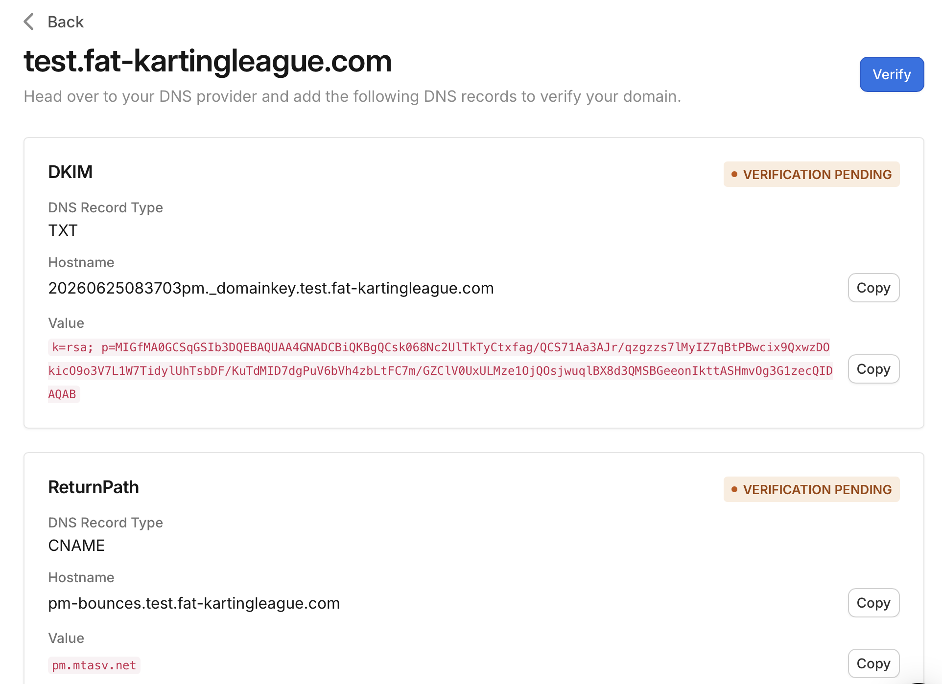 The DKIM and ReturnPath DNS records shown by Vivenu