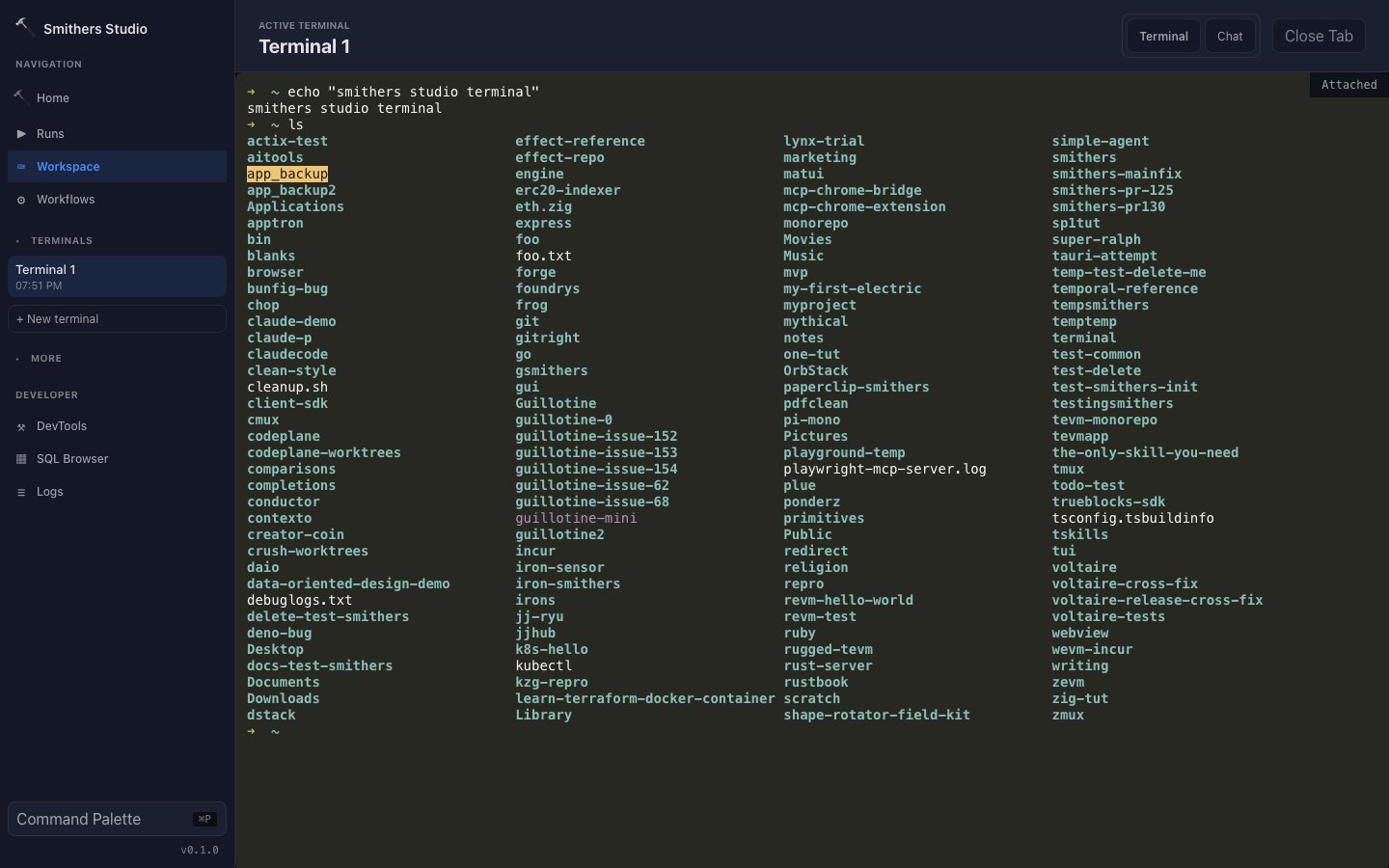 In-app workspace terminal running a real shell via the Ghostty renderer