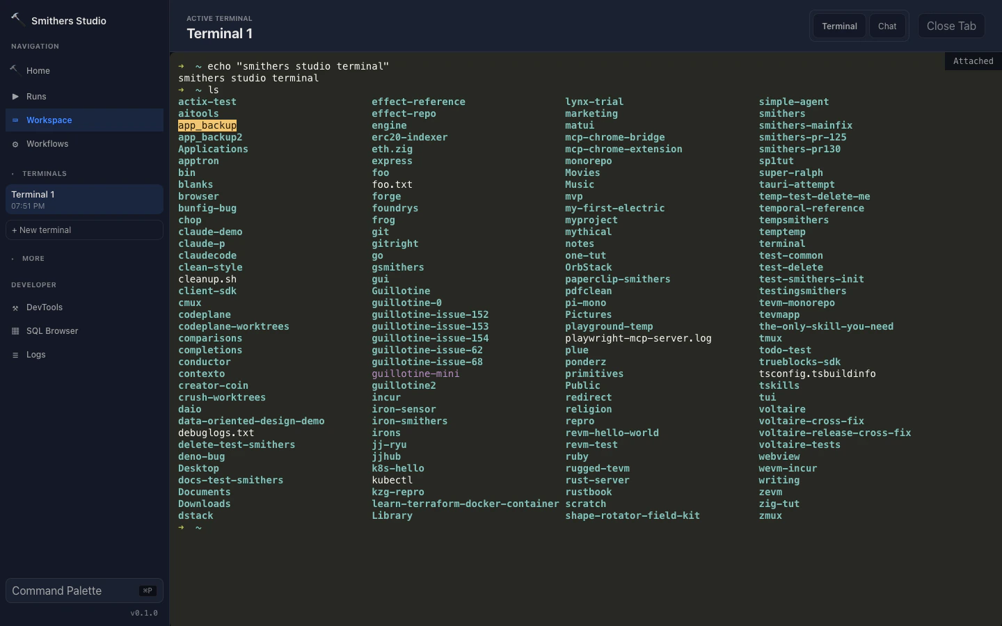 In-app workspace terminal running a real shell via the Ghostty renderer