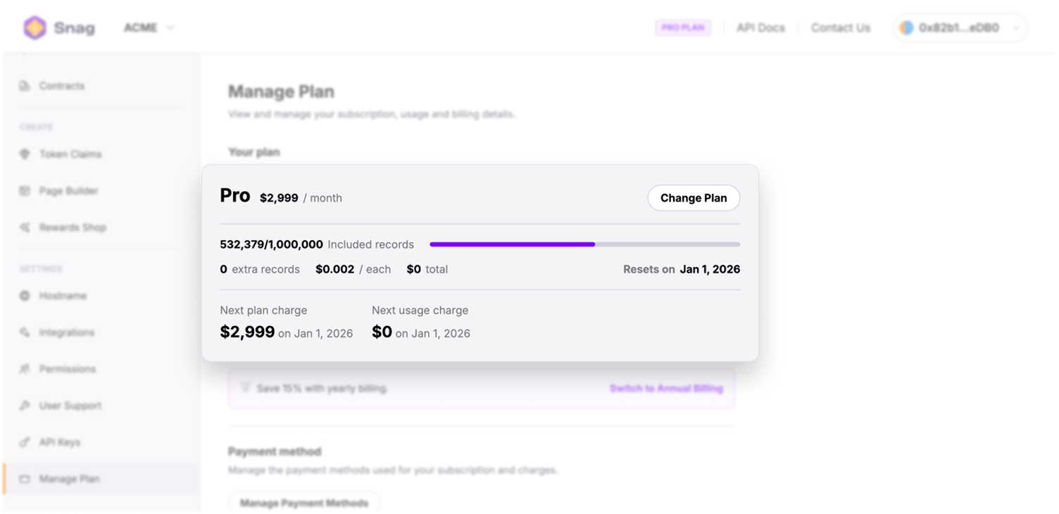 Snag admin usage dashboard showing current billing cycle record counts