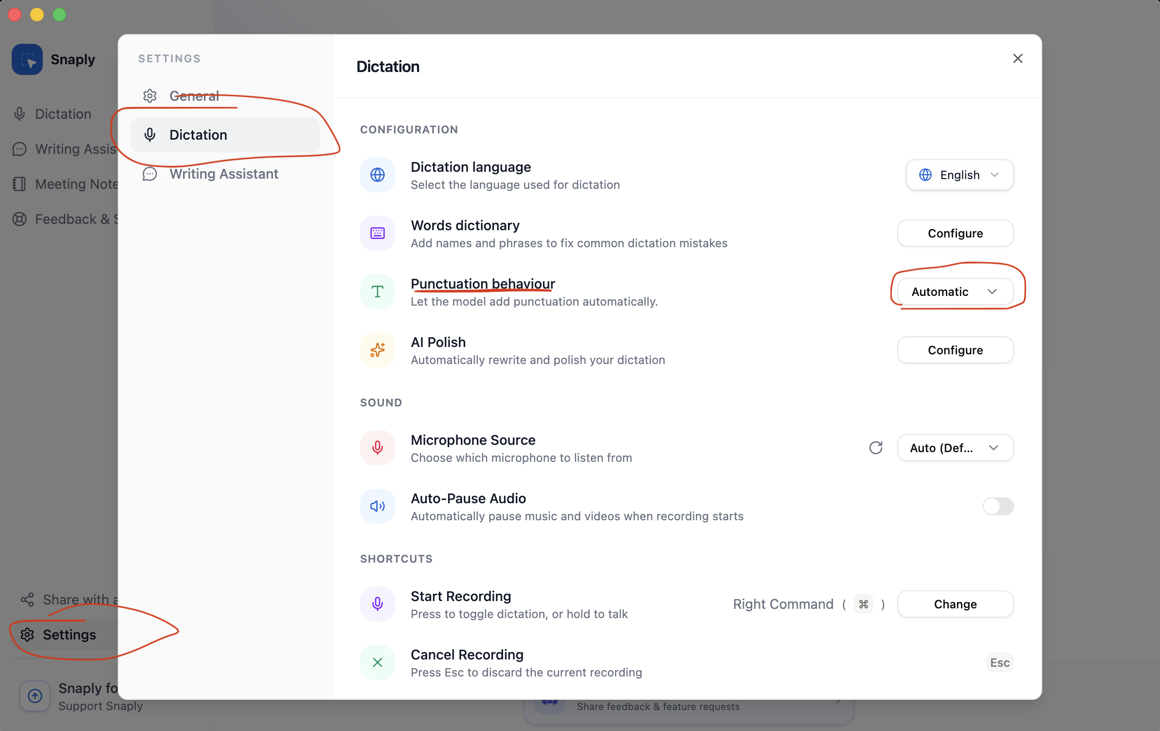 Edit Punctuation Settings