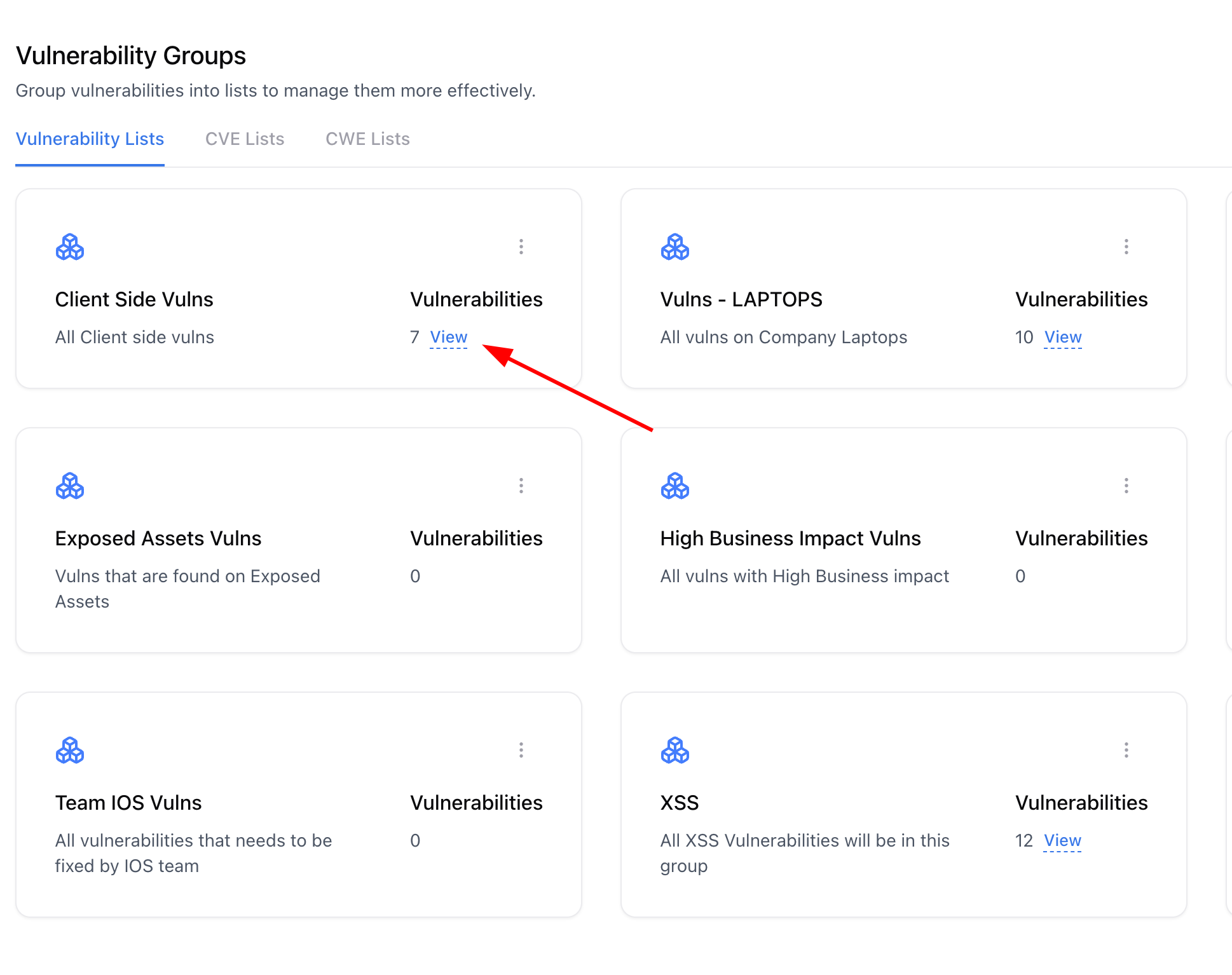 Dashboard view showing vulnerability groups like XSS and API Vulns