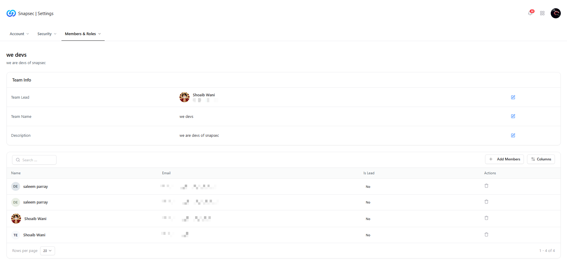 Team details view showing team info and members table