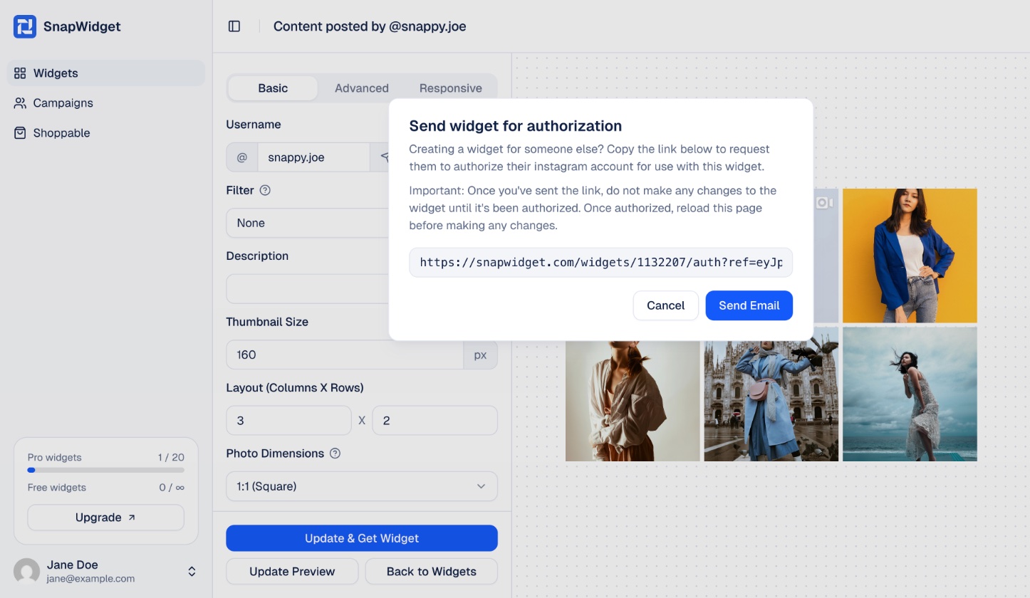 The Send widget for authorization window with the link