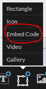 The Embed Code option in the element menu