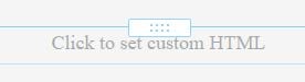 The Click to set custom HTML box