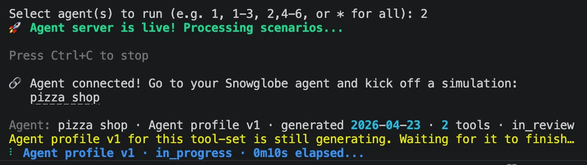 Snowglobe CLI showing calibration status